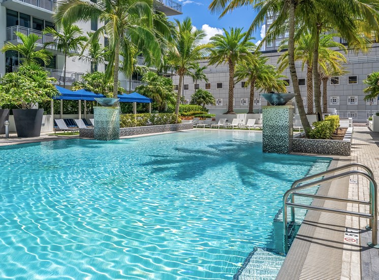 A pool surrounded by palm trees and plants.